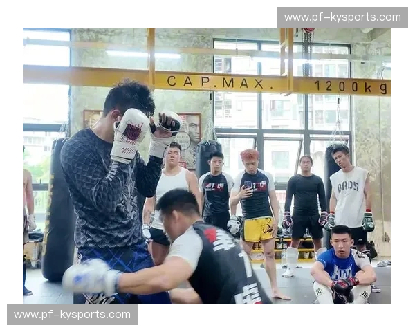 MMA综合格斗技术统计：数据驱动的训练与观赛新体验